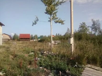 Новгород новая мельница
