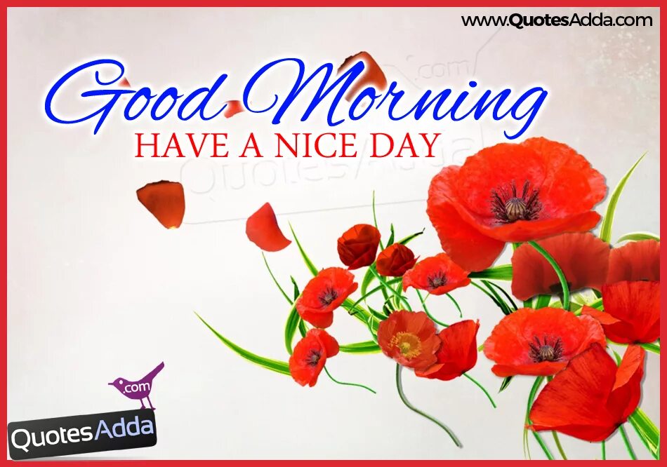 Welcome have a nice day. Открытка have a nice day. have a nice day картинки. have a nice day цветная. have a nice day красные цветы.
