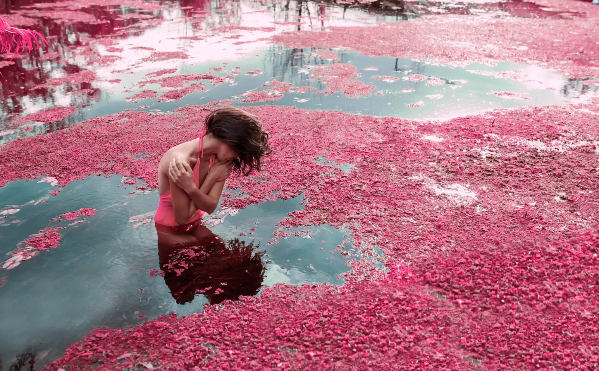 The flowers to water every day. Бассейн с лепестками роз. Лепестки на воде. Фотосессия в воде с лепестками роз. Девушка купается в цветах.