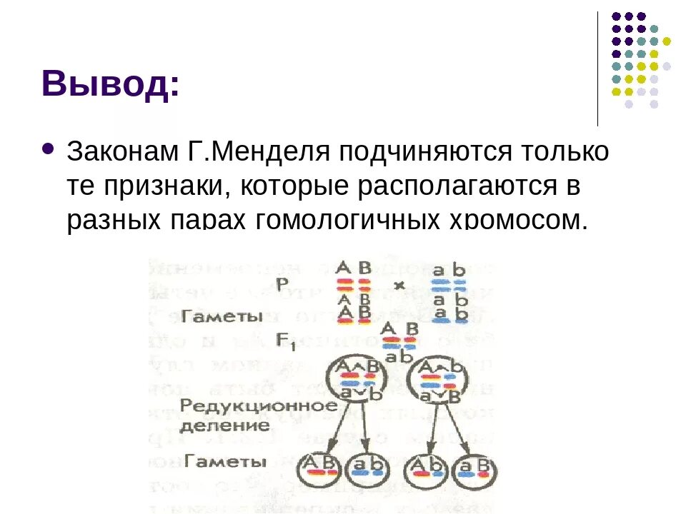 Второй закон Грегора Менделя схема. Формулировка третьего закона Менделя. 2 Закон Менделя генетика. 2 Закон Менделя закон независимого наследования.