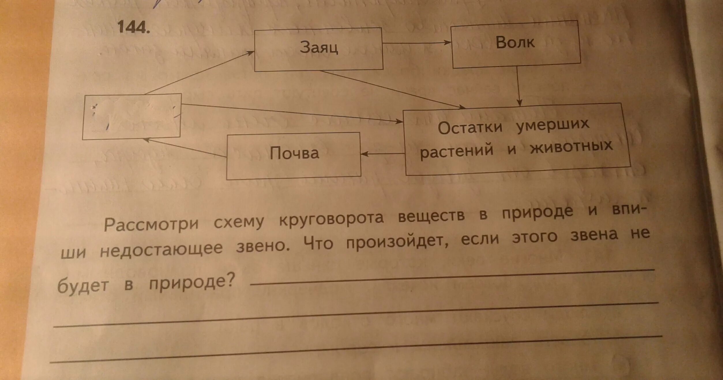 Заполните недостающие слова. Рассмотри схему. Недостающие звенья в цепях питания. Впишите слово, пропущенное в схеме. Восполнение в схеме недостающее звено.