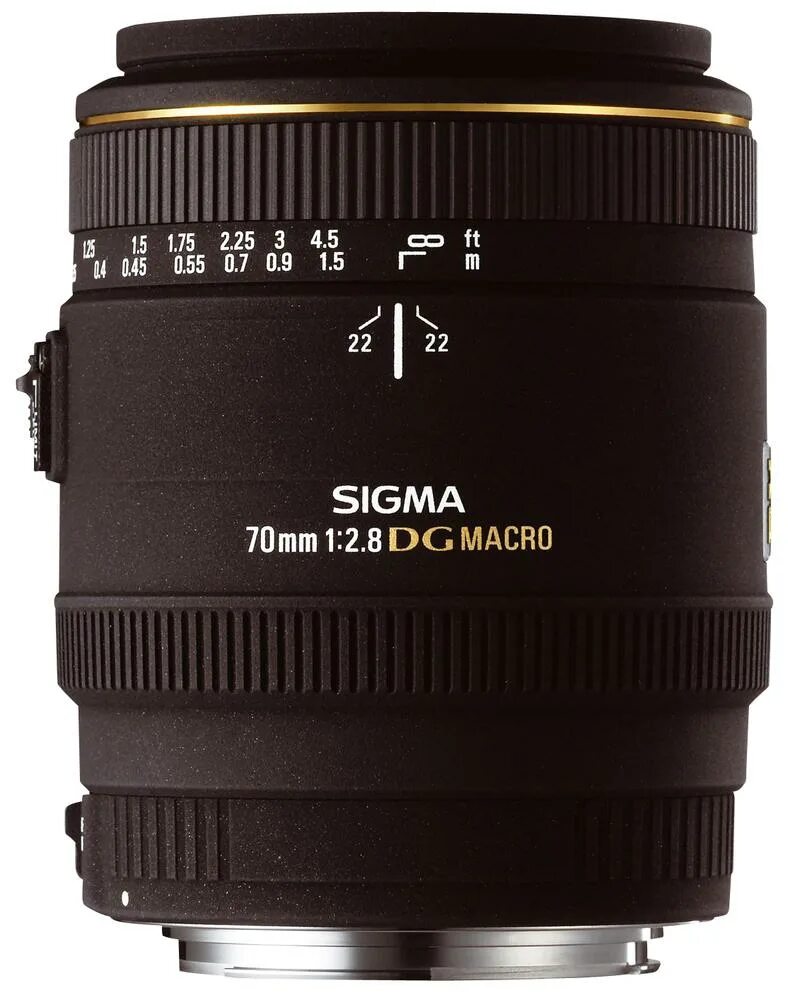 Dg macro. Sigma 24-70mm f2.8. sigma 28-70. объектив sigma 28-70mm f2.8. sigma dg ex 105mm f2.8 macro canon ef.