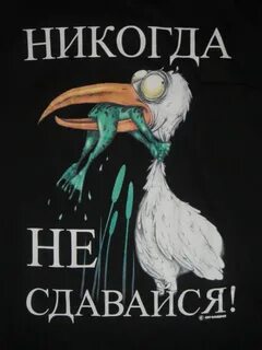 Не сдавайся до последнего