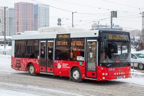 206 автобус маршрут