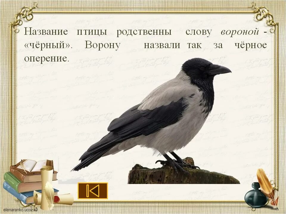 Ворона с надписью. Афоризмы про ворону. Стихотворение ворона. Цитаты про ворона.