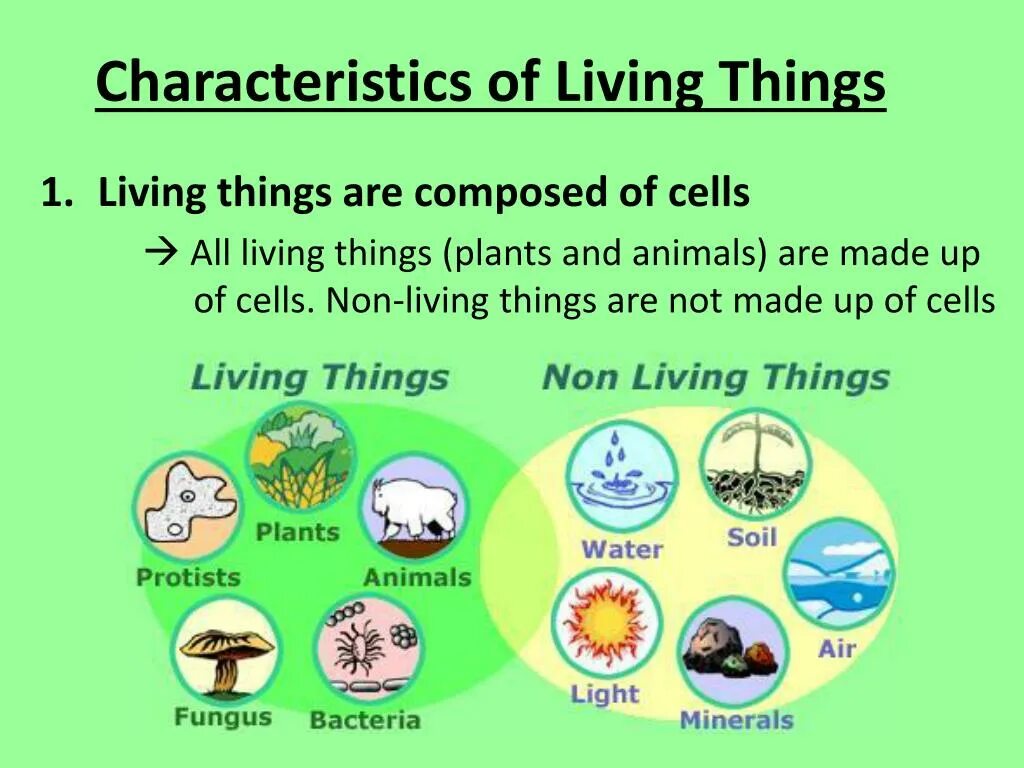 Characteristics of Living things. Seven characteristics of Living things. Characteristics of Living things and non Living thing. Living things around us презентация.