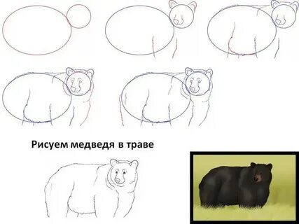 Рисуем медведя поэтапно