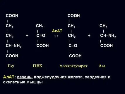 Ch3 ch nh2 ch2 cooh название вещества