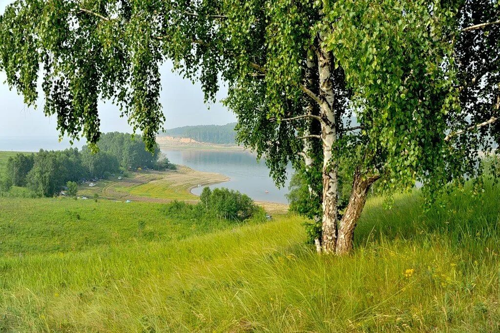 Летняя природа любительская. Любительские снимки природы. Любительские фотографии природы. Непрофессиональные фотографии природы