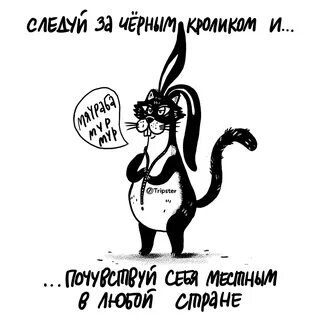 Уважаемый кот