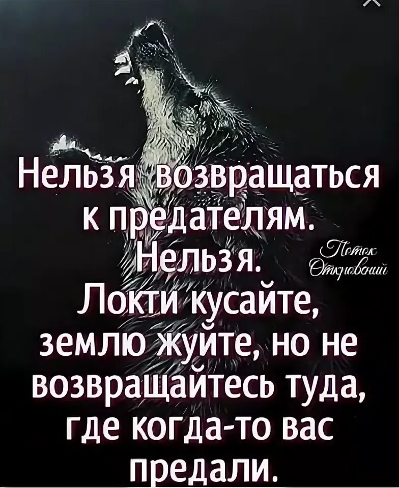 Не возвращайтесь туда где были. Нельзя возвращаться к предателям нельзя локти кусайте землю жуйте. Никогда не возвращайтесь к предателям землю жуйте локти кусайте. Землю грызи но не возвращайся к предателям. Нельзя возвращаться к предателям.