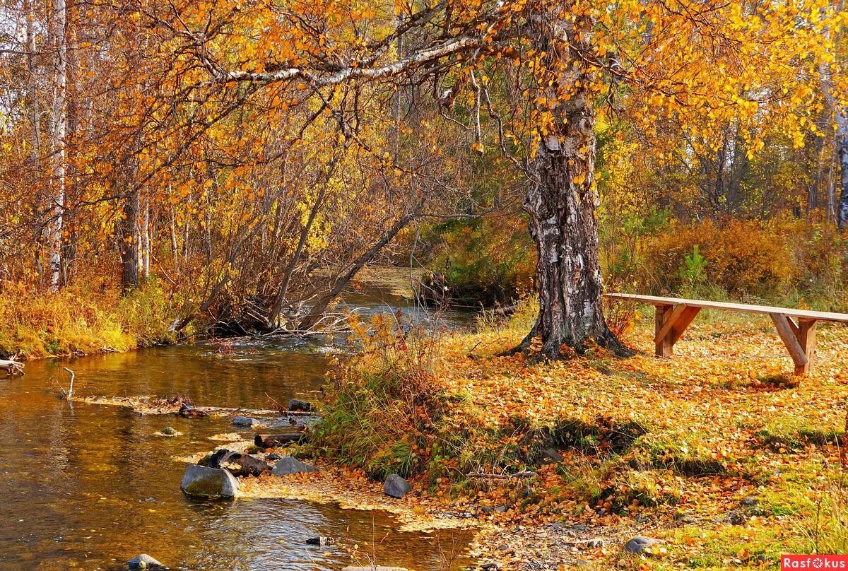 Март это осень. Природа Сибири осень. Пейзажи Сибири. Пейзаж осени. Осень в тайге.