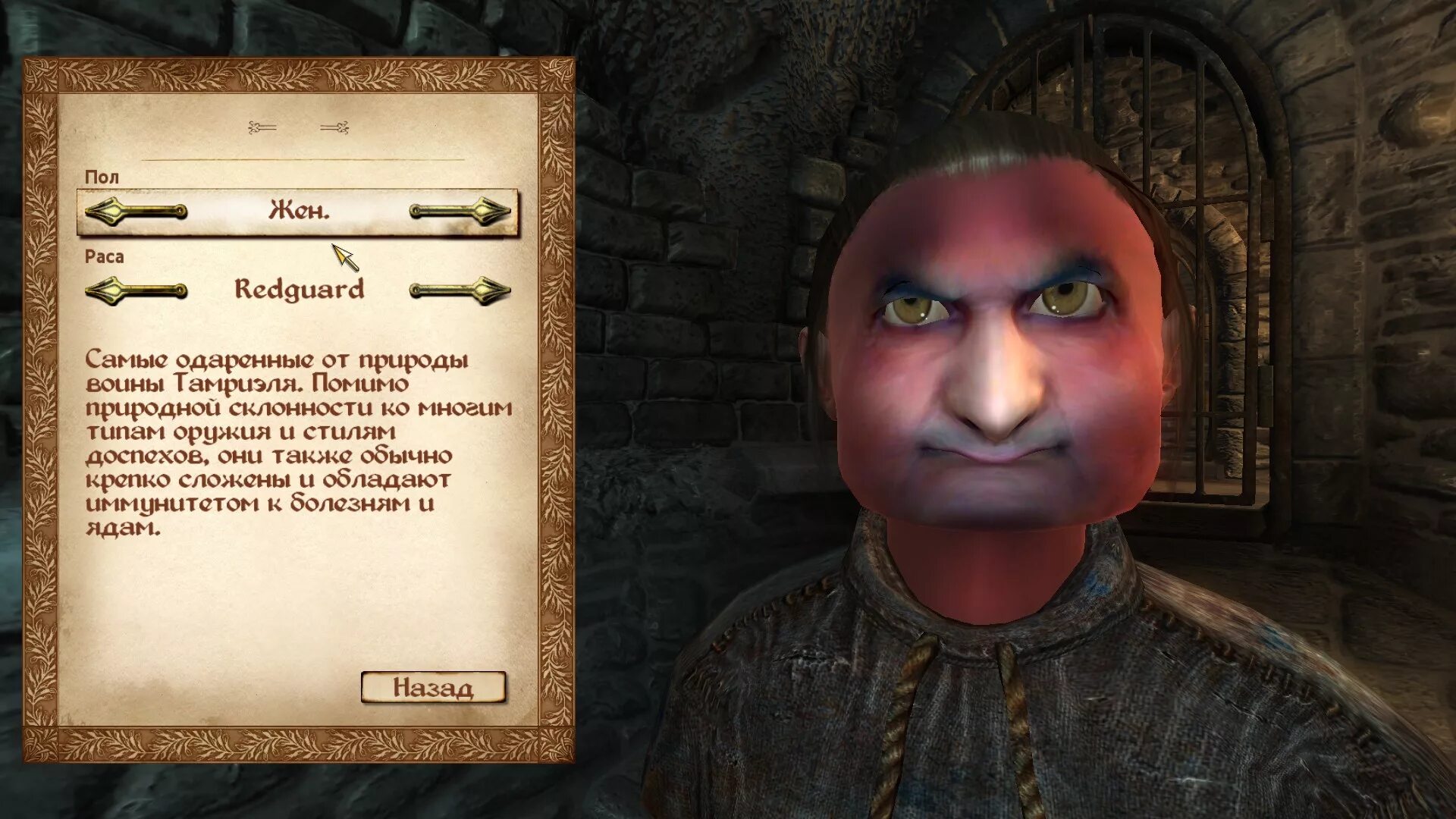 Восторженный поклонник the Elder Scrolls 4 Oblivion. Baldur's Gate 3 редактор персонажа. Обливион редактор персонажей. Обливион персонажи.