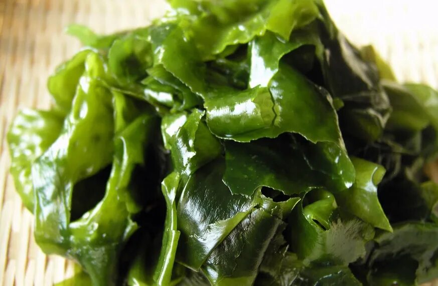 Kelp extract