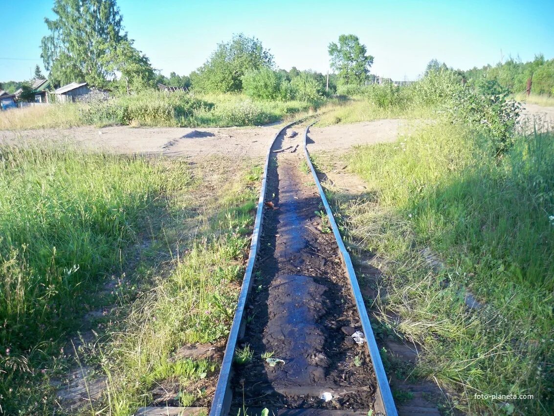 Семигородняя ужд. Вожега лес кадниковский. Погода семигородняя харовского. Станция семигородняя. Станция семигородняя.