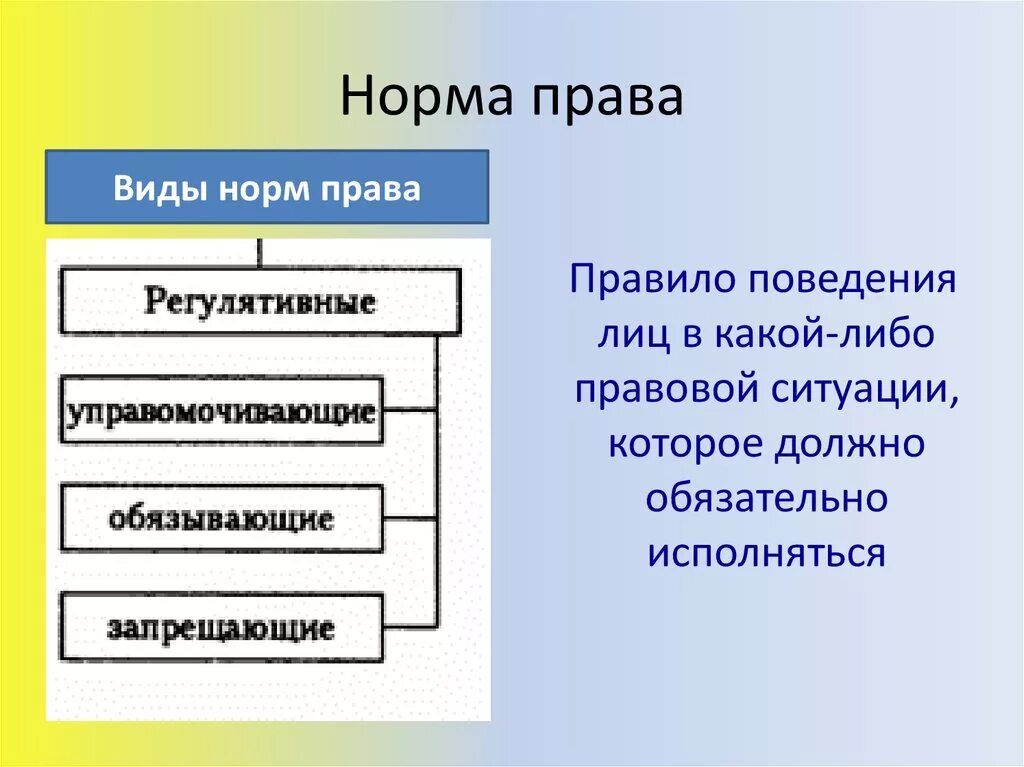 Ооо право норм