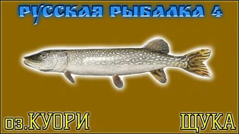 Приманки на щуку рр4