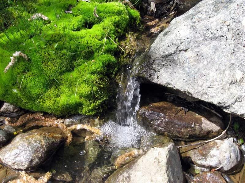 Родники соликамский. Родник Родничок. Источник воды. Природные источники воды. Ключ источник воды.