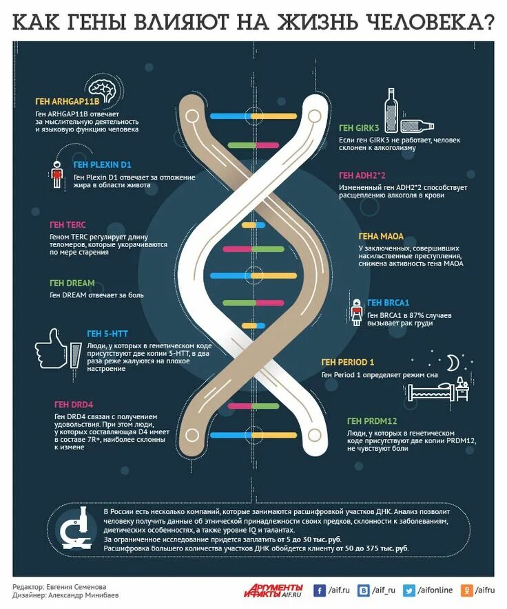 ДНК инфографика. Интересная инфографика. Генетика инфографика. Гены инфографика.
