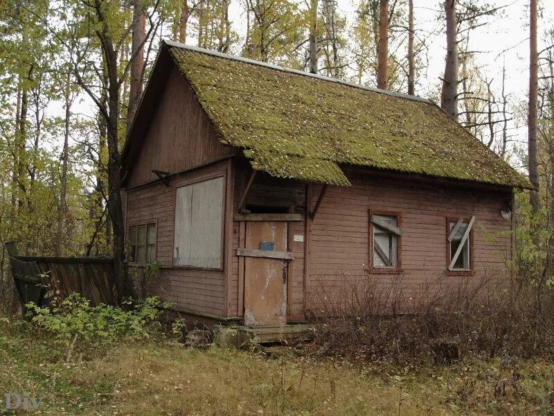 Д васкелово. Заброшенный лагерь Березка Васкелово. Заброшенный детский лагерь Васкелово. Васкелово лагерь Березка. Пионерский лагерь Березка Васкелово.