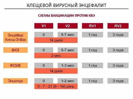 Клещ э вак схема вакцинации