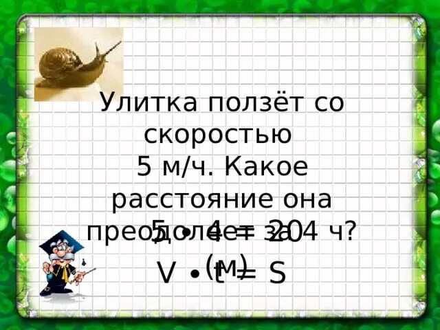 Задачи улитка ползет. Улитка ползет скорость. Улитка ползет по дереву со скоростью 8 1/2 см/мин. Улитка ползёт со скоростью 20 см/мин черепаха со скоростью. Улитка ползет со скоростью 6 км в час.