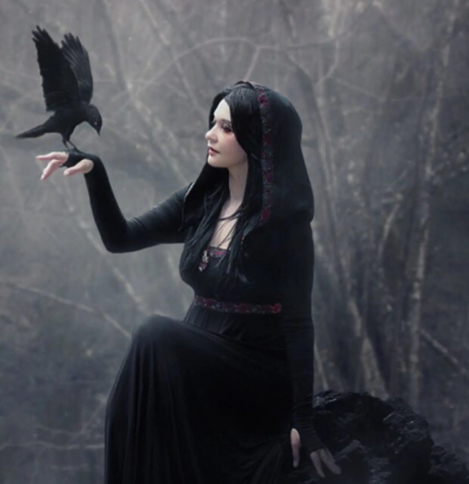 Колдунья с черными волосами. Красивые ведьмы с черными волосами. Девушка с вороном. Ведьма брюнетка. Ведьма вдова