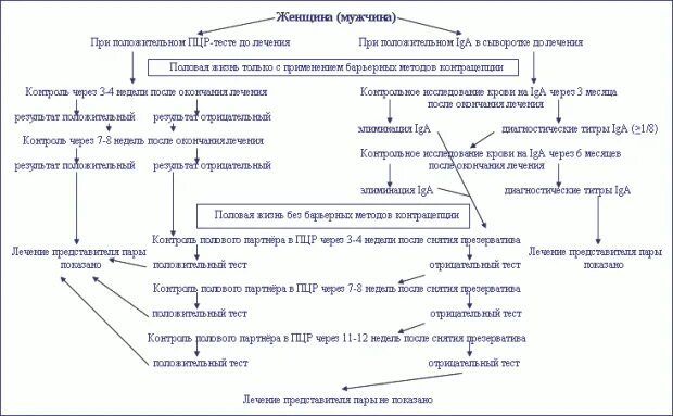 Как вылечить хламидиоз. Хронический хламидиоз схема. Хламидиоз схема лечения. Схема лечения осложненного хламидиоза. Хронический хламидиоз схема лечения.