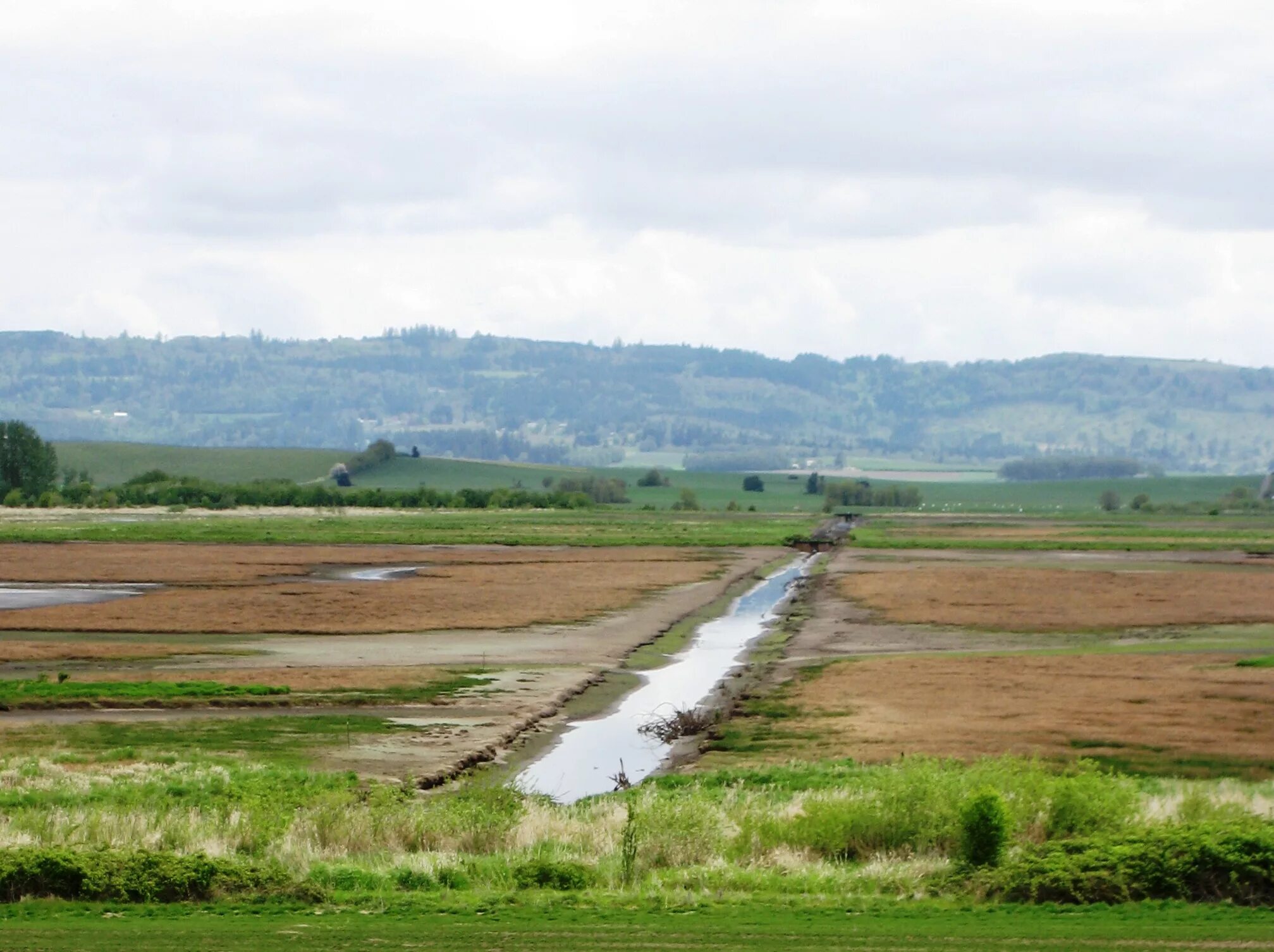 Water ground