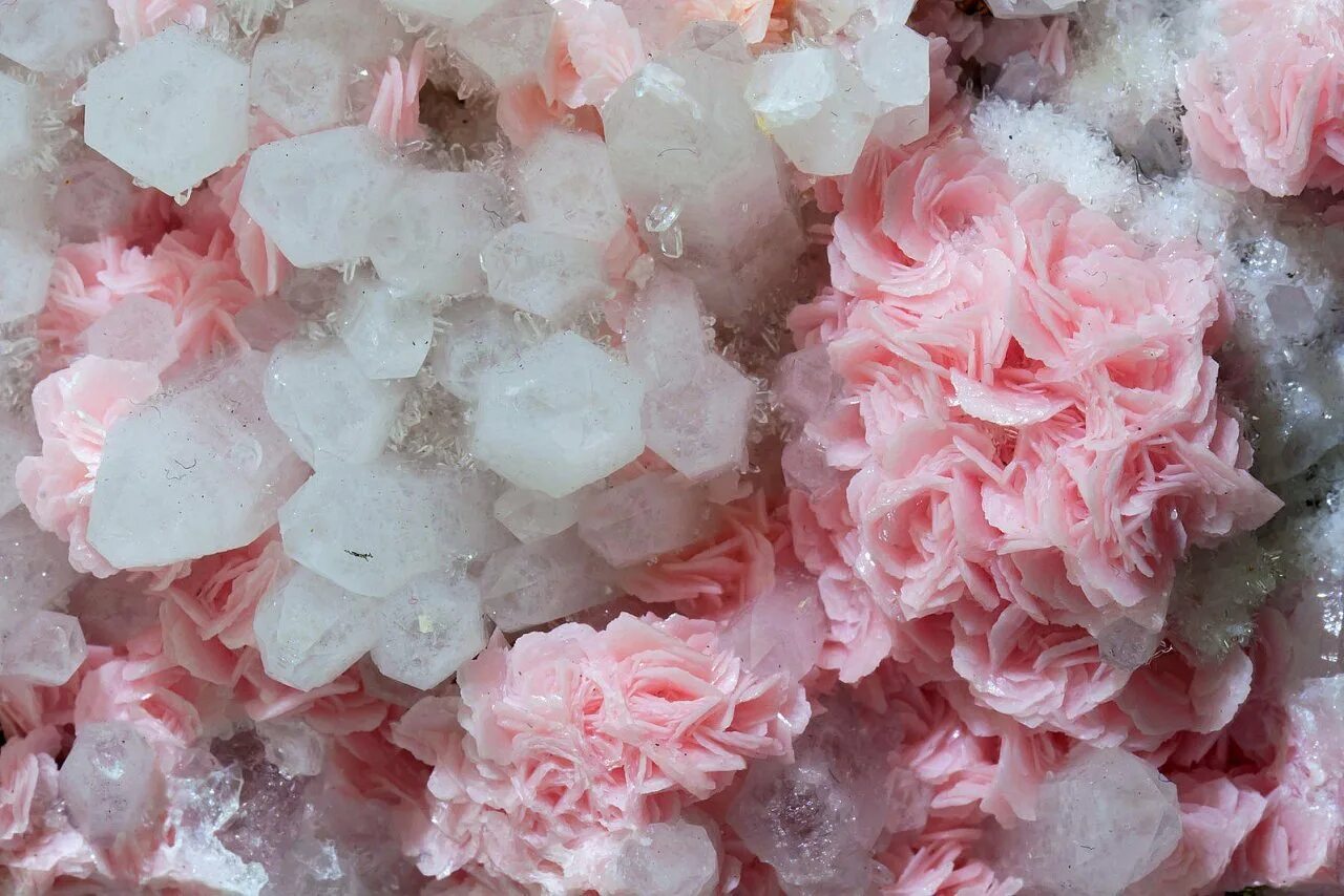 Родохрозит и розовый кварц. Родохрозит минерал. Розовый камень родохрозит. Кварц камень мрамор Кристалл. Розово белый камень