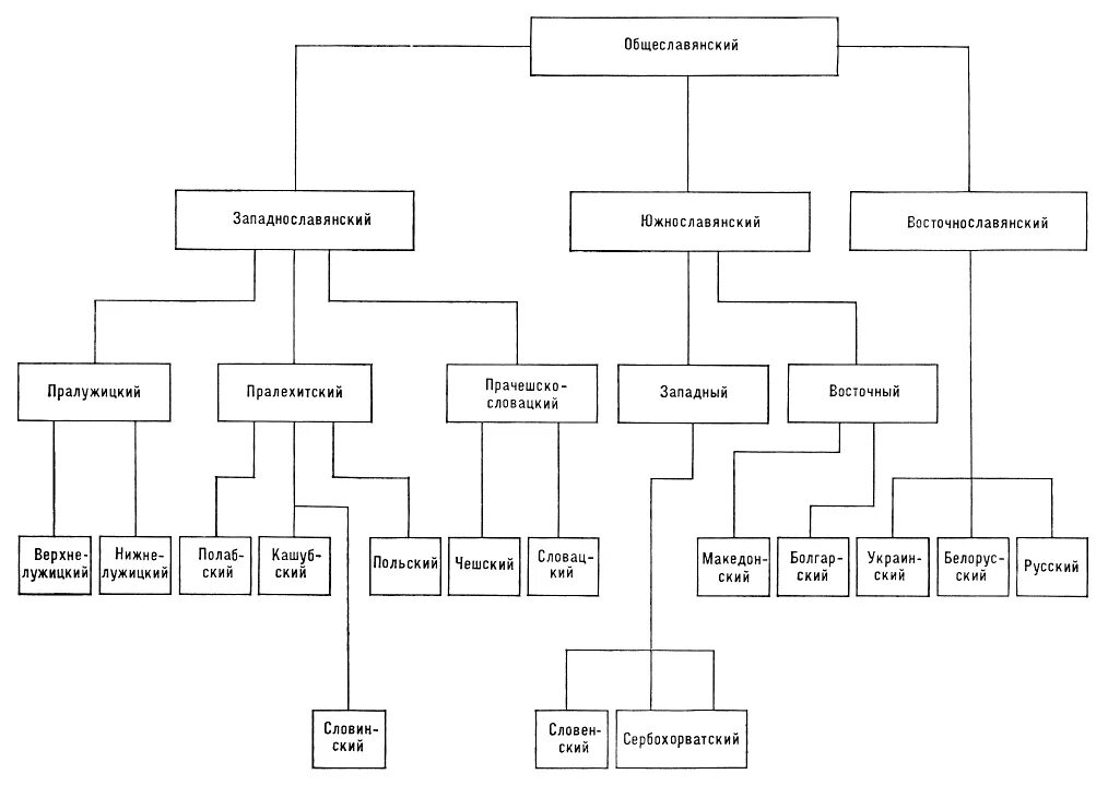 Индоевропейские ветви. Генеалогическая классификация языков схема. Генетическая классификация языков схема.
