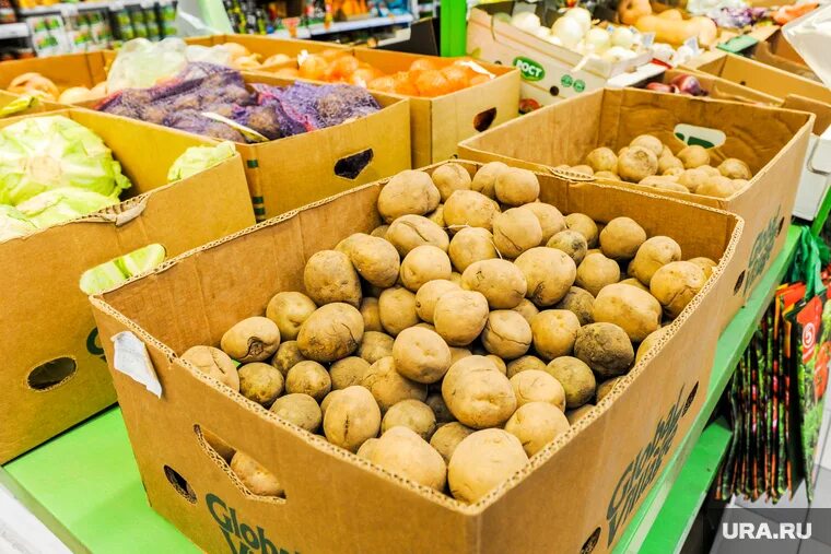Картофель в магазине. Магазин овощи фрукты. Цены на овощи. Овощи России.