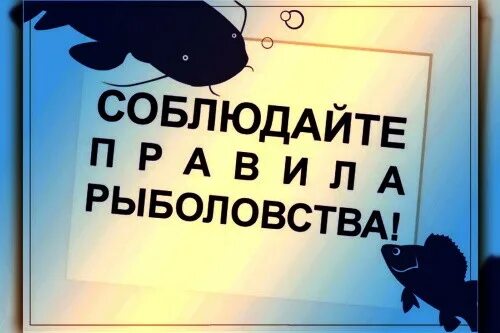 Нерестовый запрет. Нерестовый запрет картинки. Снятие нерестового запрета картинки. Нерестовый запрет снят.