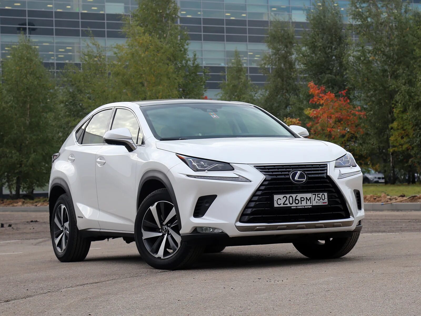 Лексус nx300. Lexus nx300h 2019. Lexus NX 300. Лексус НХ 300h. Lexus nx 300h