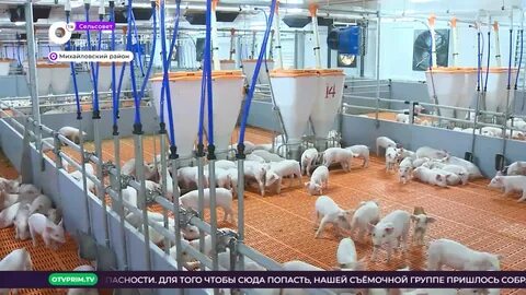 Сельсовет видео