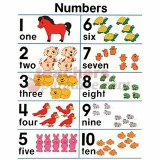 Topic the numbers