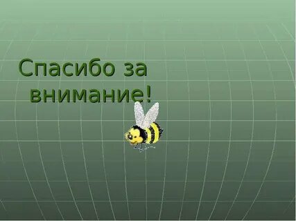 Спасибо за внимание география