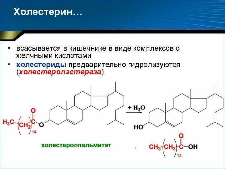 Ферменты холестерина. Эфир холестерола с пальмитиновой кислотой. Формула холестерола и его эфира с пальмитиновой кислотой. Эфир холестерина формула структурная. Холестерин формула структурная.