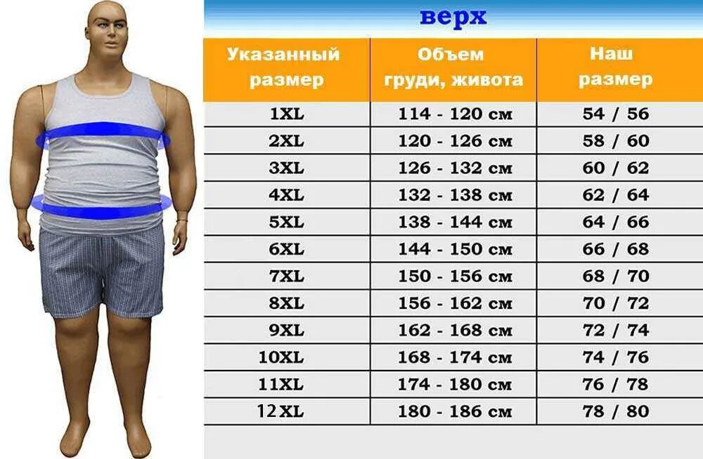 Рост 1 46. Размер одежды 2xl мужской. Размеры XXL таблица мужская одежда. Размерная сетка 56 размер мужской. Таблица размеровмуской.