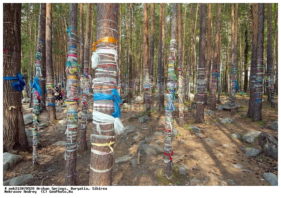 Аршан роща. Посёлок аршан "саяны". Аршан бурятия глазной источник. Горы аршан лето. Шале синегорье, поселок аршан.