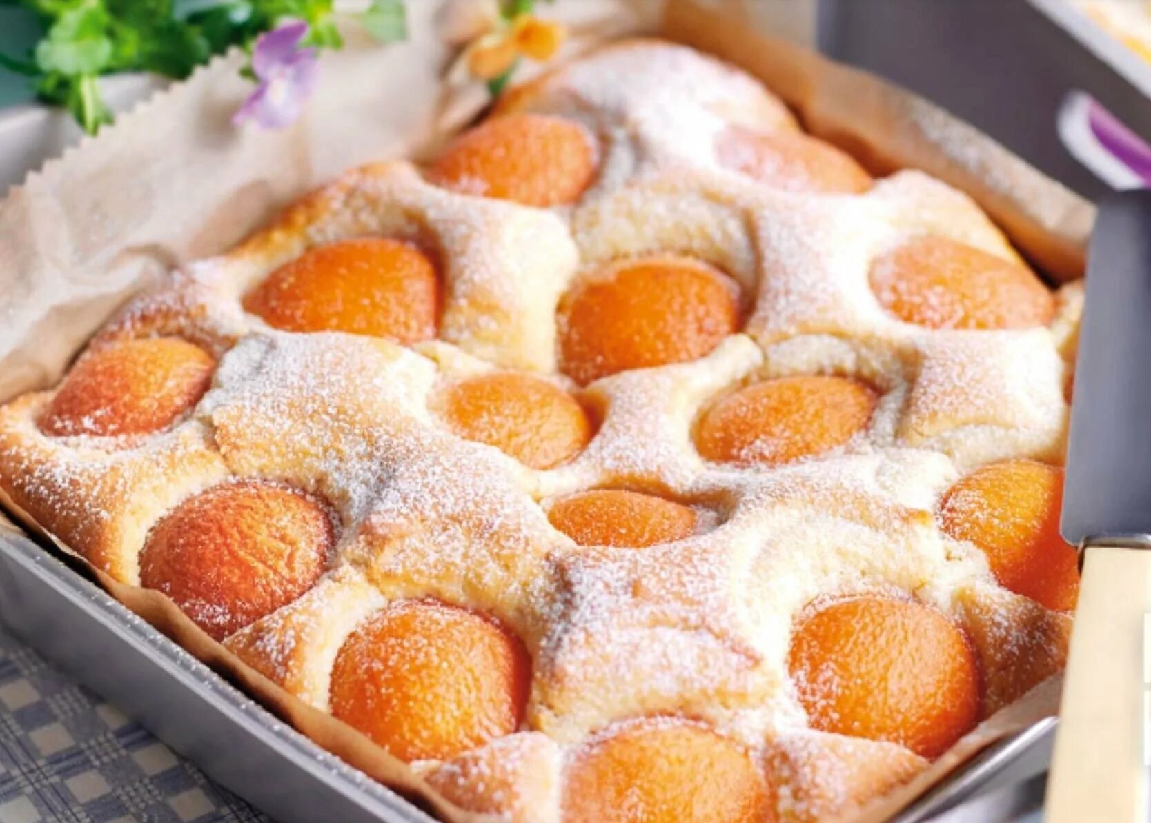 Творог яйца выпечка. Пирог с персиками. Абрикосовый пирог. Пирог со свежими абрикосами. Пирог с абрикосами в духовке.