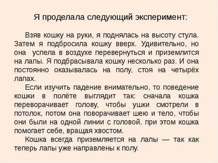 Почему кошки всегда