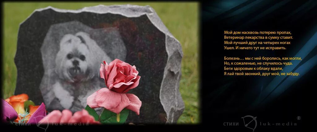 Стихи о собаке ушедшей. Стихи на смерть собаки. Стих о погибшей собаке. Стих в память о собаке. Стихотворение о смерти собаки.