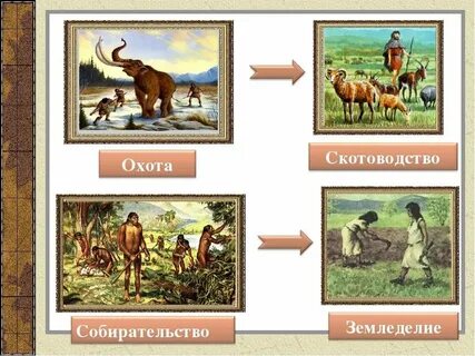 Пример хозяйства и науки