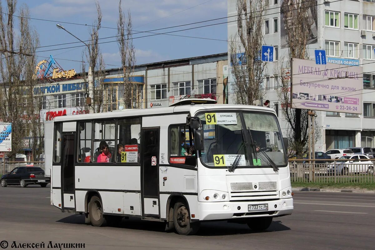 ПАЗ 320402 Ростовская область. Т834тс36. Т733ех 67. Автобус 733 Пермь. Автобус 36 озеры