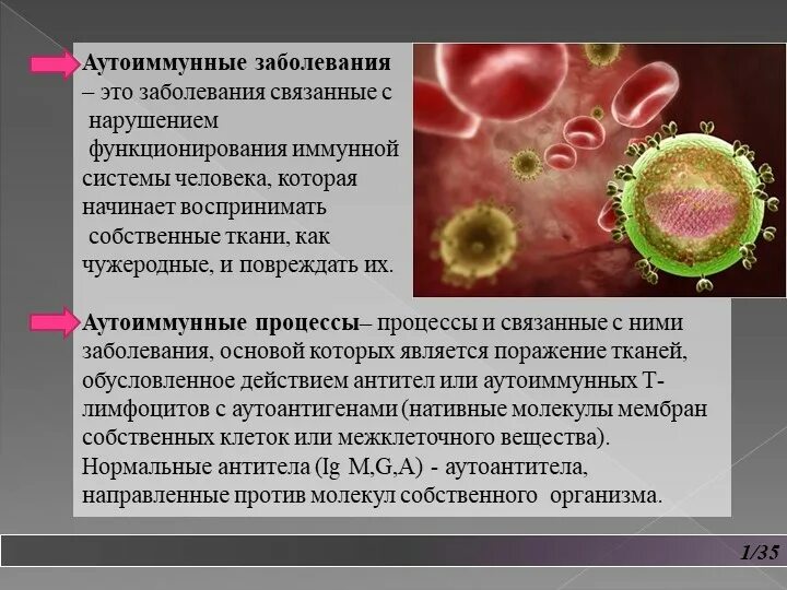 Собственно иммунный. Аутоиммунный процесс. заболевания иммунной системы аутоиммунные. аутоиммунные процессы в организме что это. аутоиммун не заболевания.