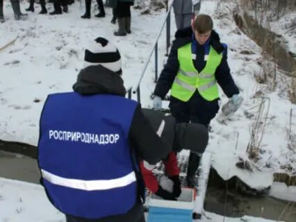 Проверка экологического надзора