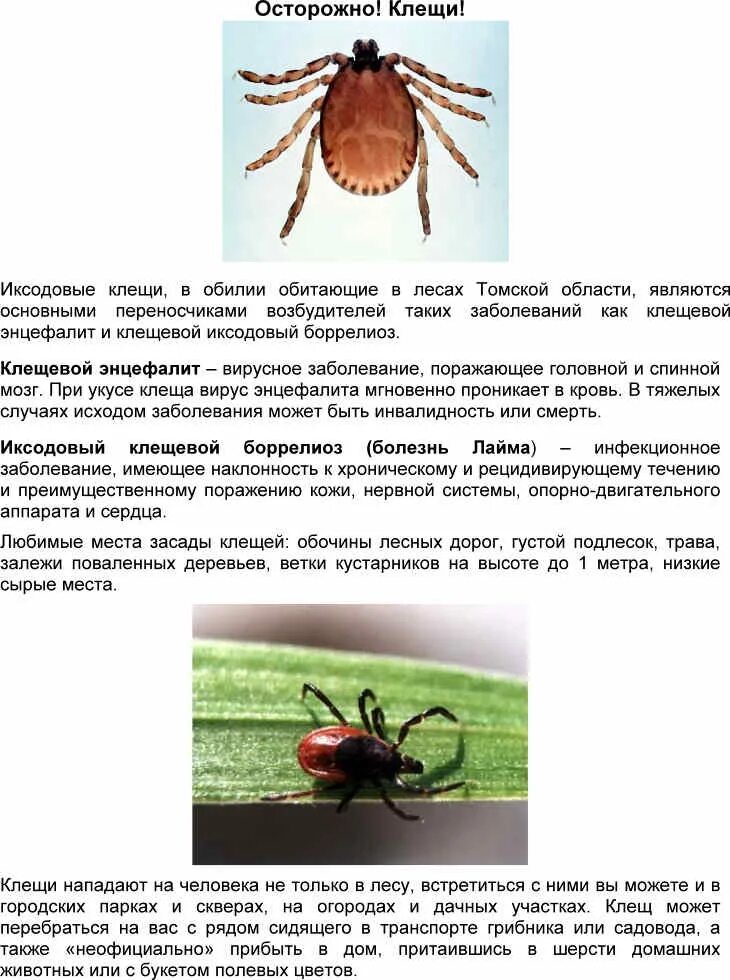 Защита от иксодовых клещей Администрация Александровского сельского поселения