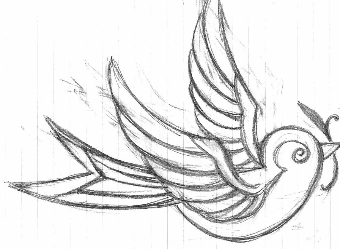 Рисунки птиц для срисовки легкие. Эскизы рисунков. Птица рисунок. Красивые эскизы рисунков. Рисунок птицы карандашом для срисовки.