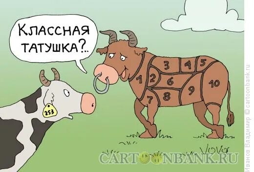 Анекдот про два быка. Корова карикатура. шутки про коров. анекдот про корову. karikatury pro korovu.